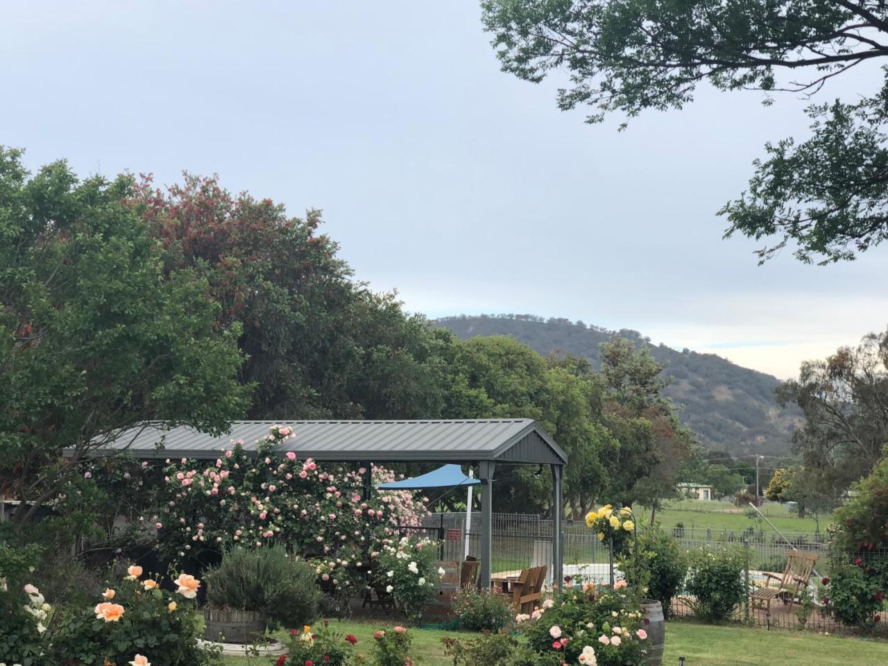 Valley View Motel Murrurundi Exterior foto